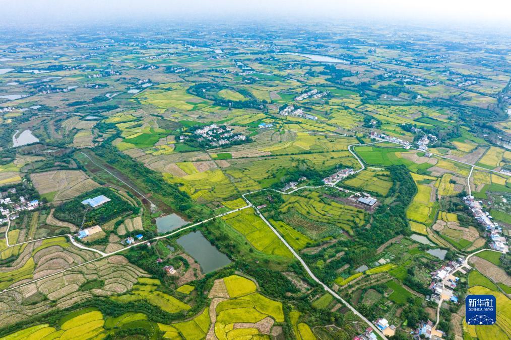 新濠天地直播机在哪里